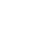 zyjs